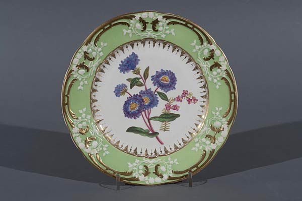 Coalport Botanical Plates, 'Blue Aster', finely painted with specimens from Curtis's Botanical Magazine, within moulded apple green borders, each titled to the reverse. Diameter 23.5 cms